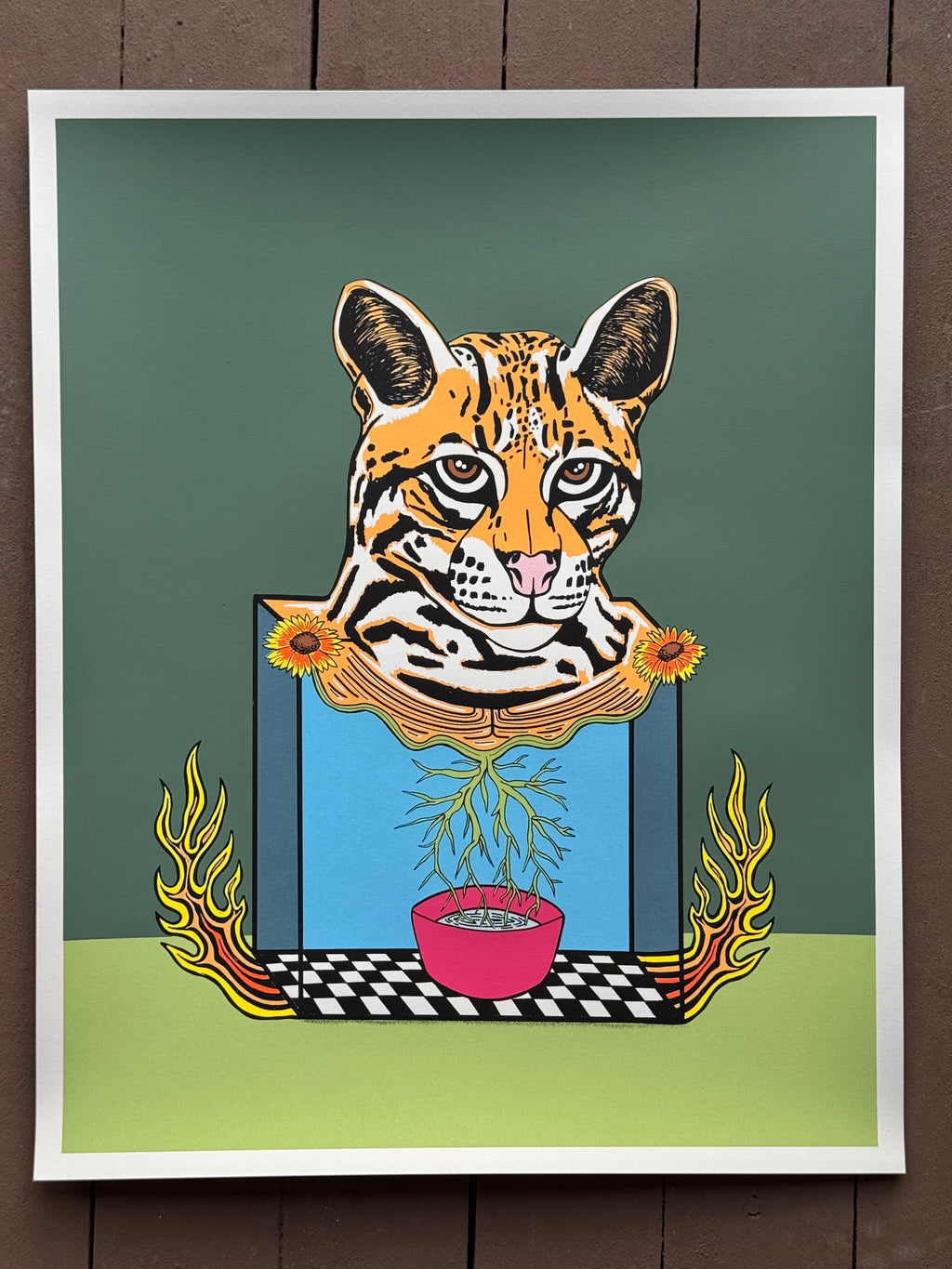 Ocelot