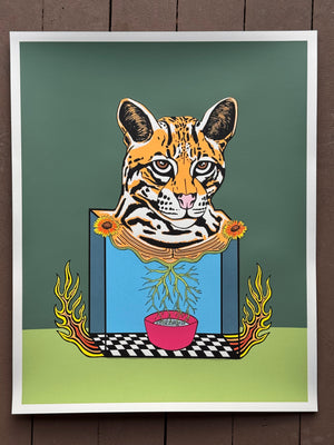 Ocelot